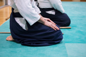 aikido-bras-1