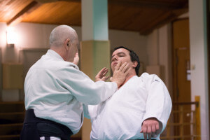 aikido-bras-2