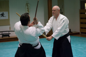 aikido-bras-3