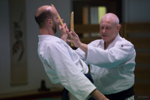 aikido-bras-5